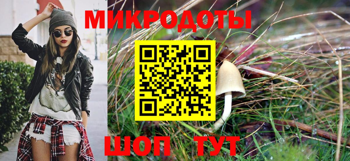 Псилоцибиновые грибы Psilocybe  Вход с VPN  Белебей 